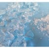 Hydrogel For Plants