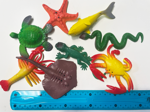 Animales que crecen con agua. Pack de 5 - Imagen 2