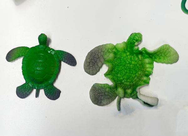 Animales que crecen con agua. Pack de 5 - Imagen 6