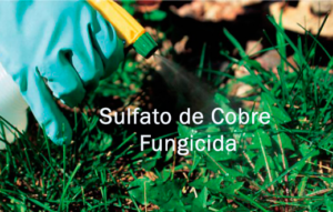 sulfato de cobre como fungicida