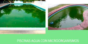 Swimming pool with algae